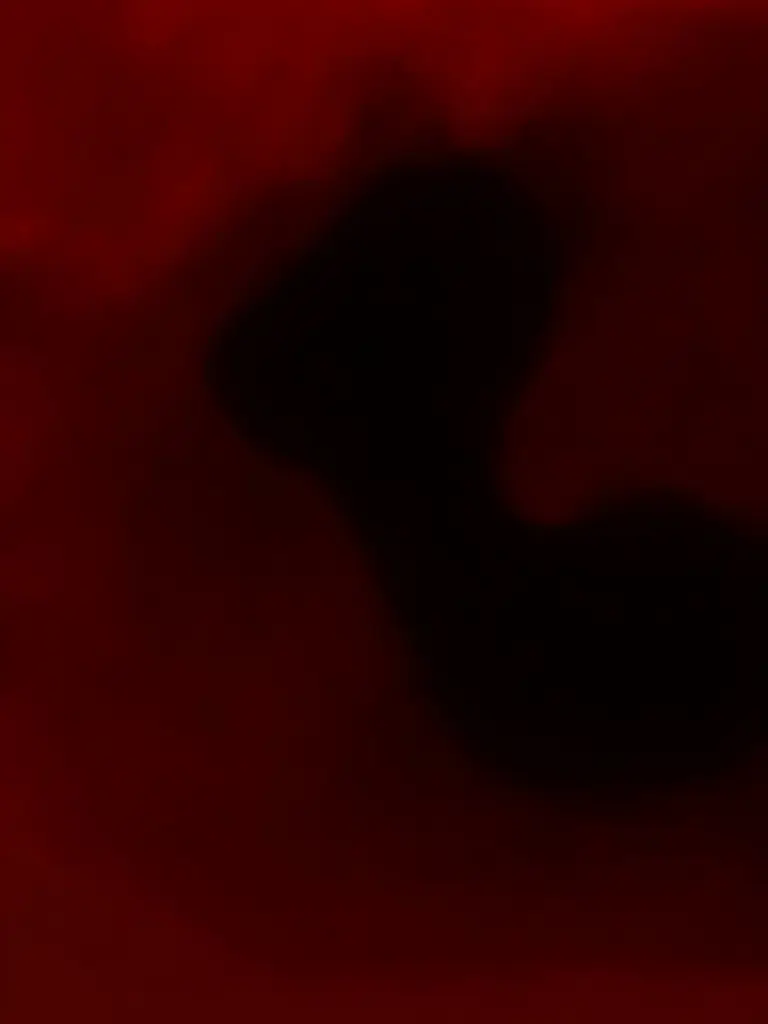 PlainRest7953의 逃げられると思うなよ