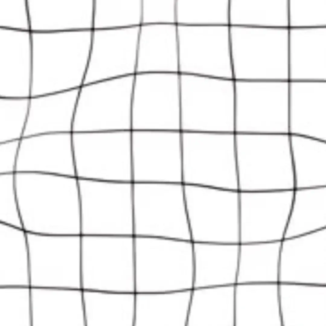 Hokut0의 道で拾う