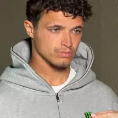 Profile image of Lando Norris