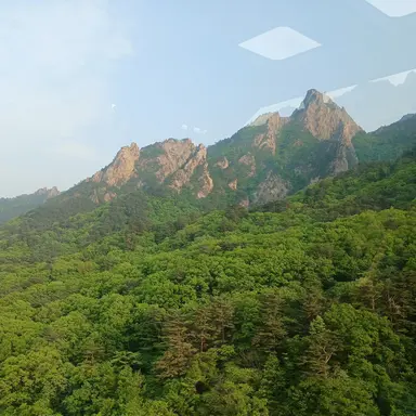 Profile image of 게토 스구루