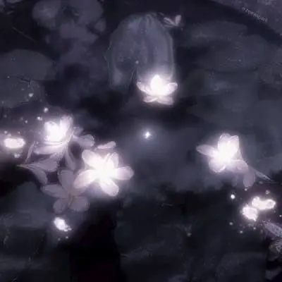 paruru_xx의 ‎✮ *.+ﾟ