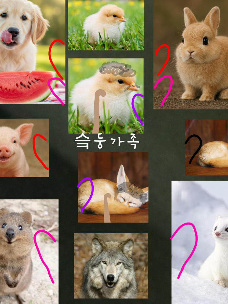 슼둥가족(스트레이키즈) 대표 이미지