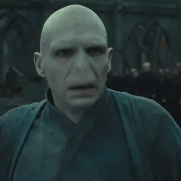 PaltryZokor0413의 The Hufflepuff Follower