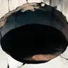 Profile image of The Wall Hole