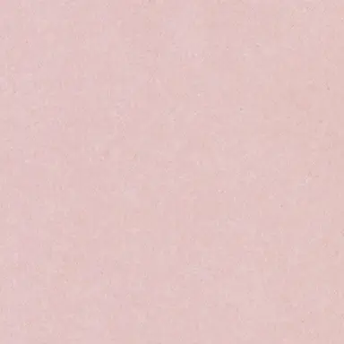 Profile image of 女性社員達