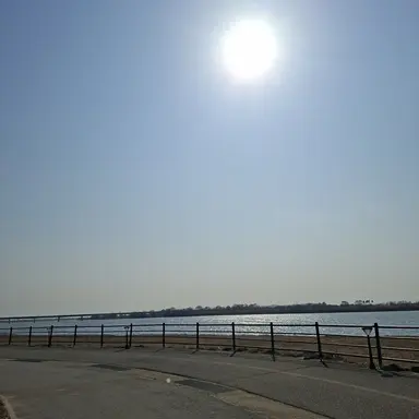 Profile image of 이새롬