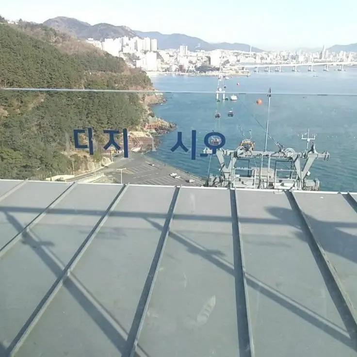GustyGnat6562의 ㅤㅤ
