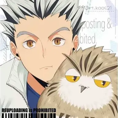 Profile image of 木兎　光太郎