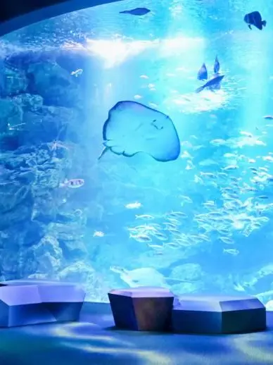 RoomyPhone7330의 ウェイターと人魚