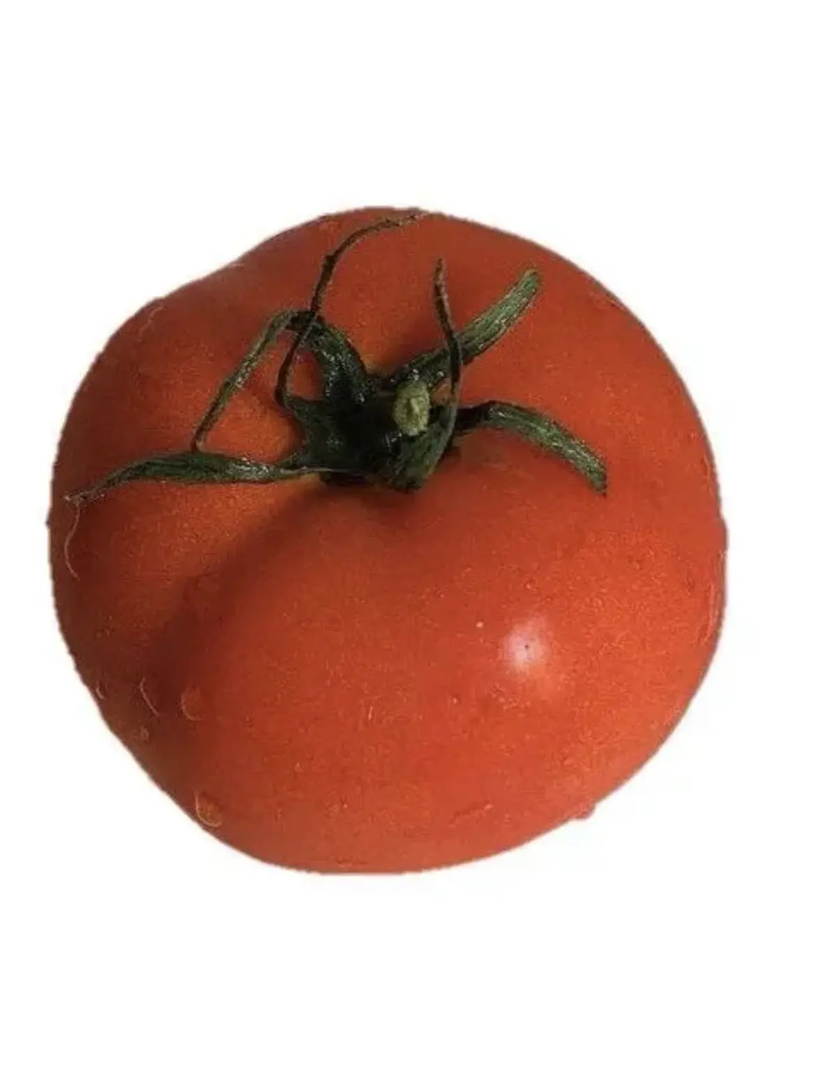 TautTown4575의 나만 바라보는 전직 킬러 남편과 신혼