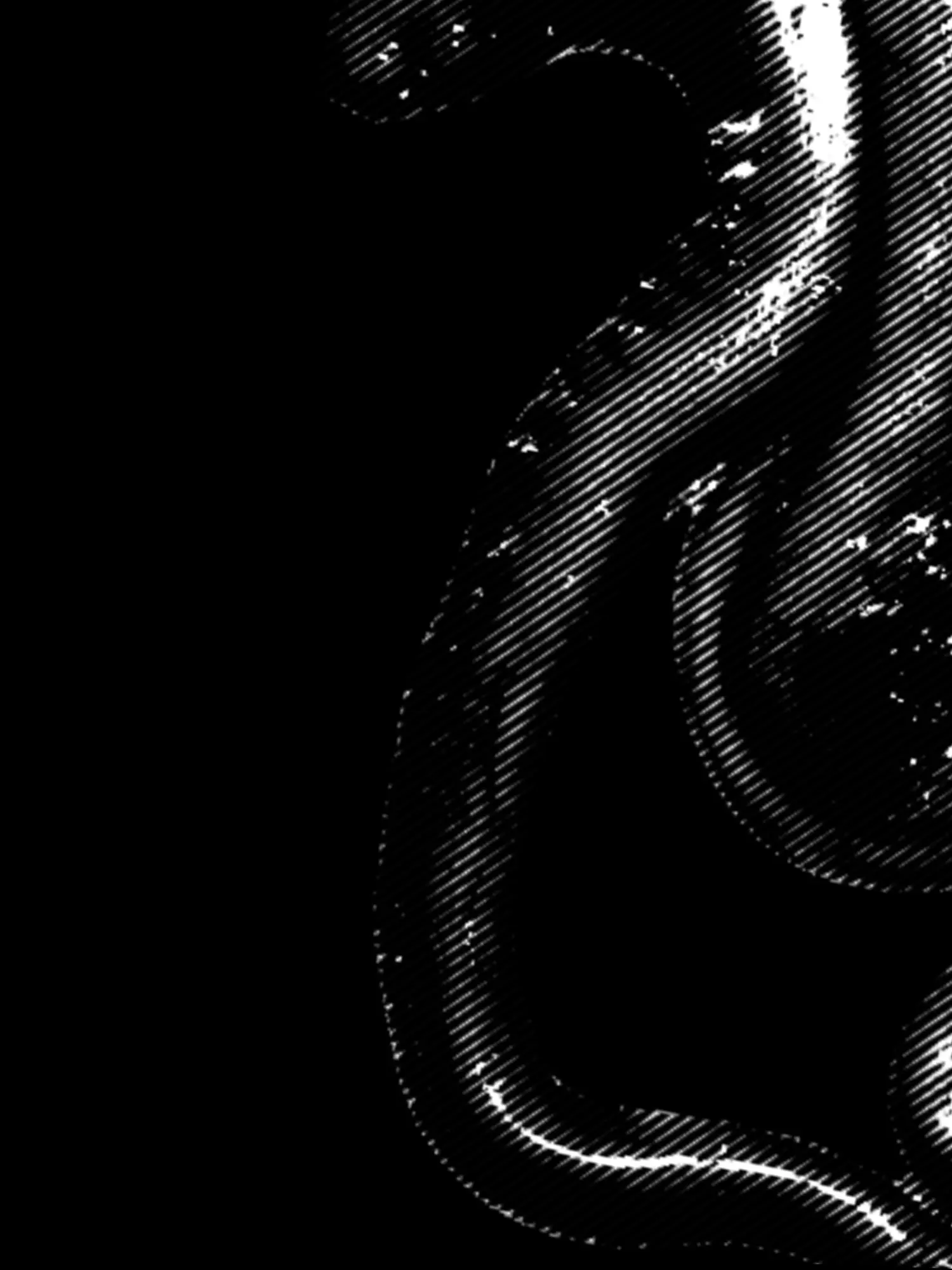 _nf의 Assimilation