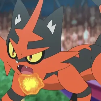 Profile image of Torracat