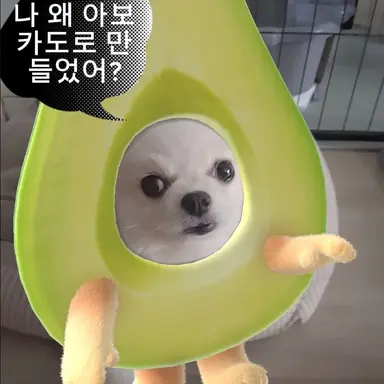Profile image of 윤아