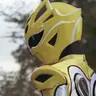 Profile image of Lily Yellow Jungle Fury