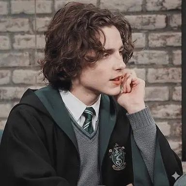 Profile image of Regulus Black