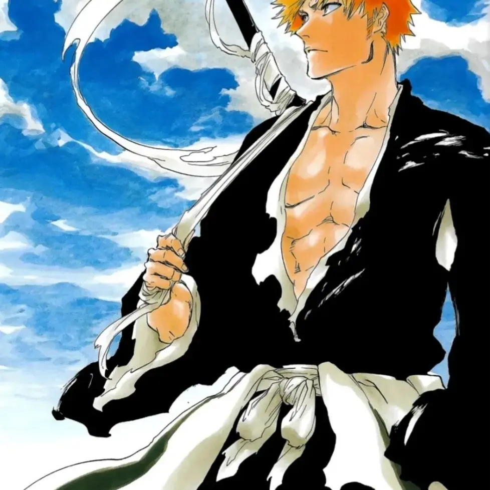 InlandSoup6407의 블리치