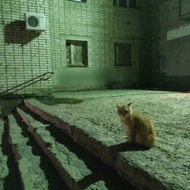 Profile image of 손필혁