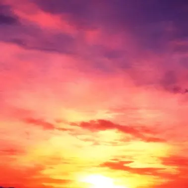 Profile image of 火を灯した世界