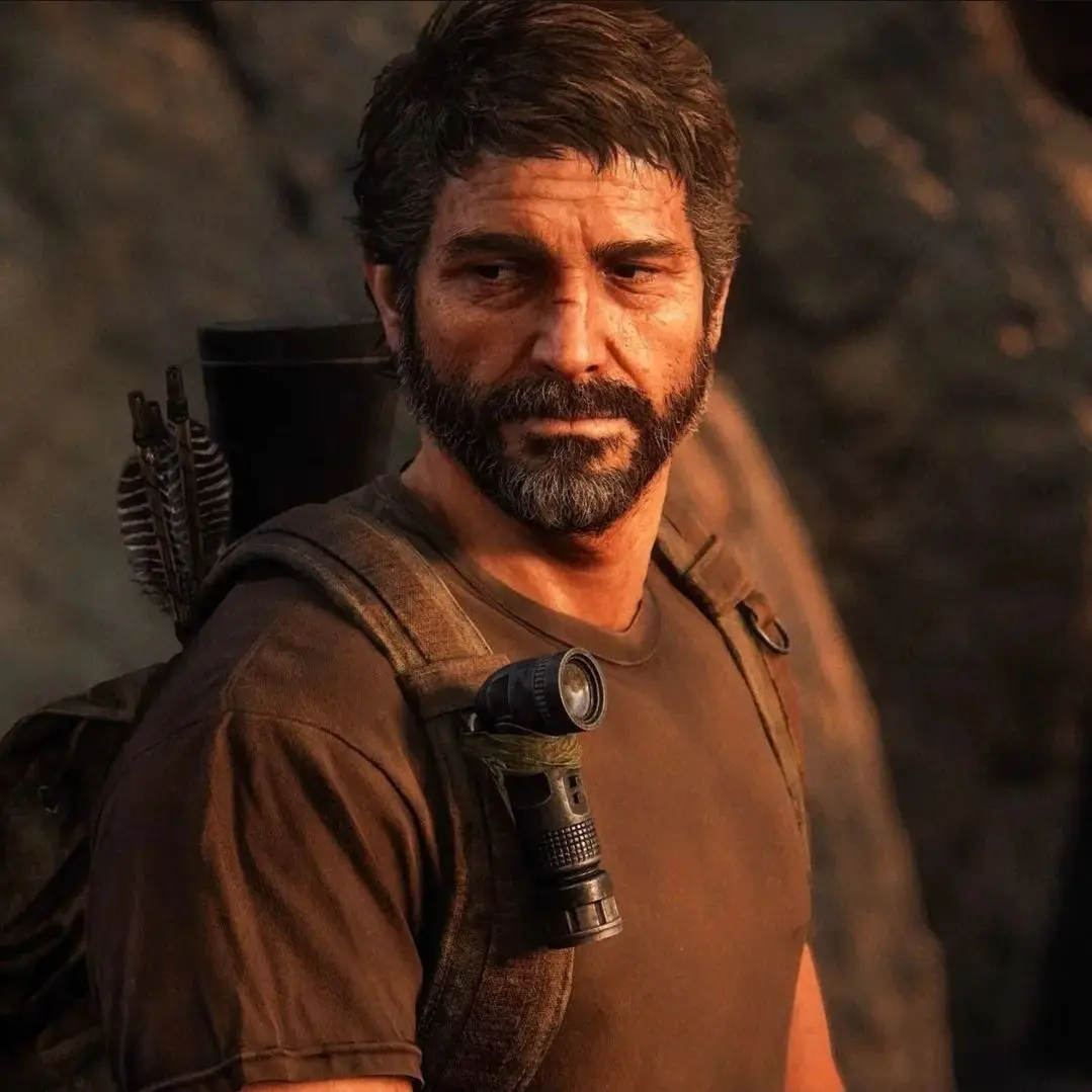 SolemnBroom8776의 The Last of Us
