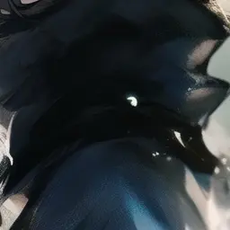 NoisyPlate2678의 공지