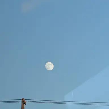 Profile image of 池亀樹音