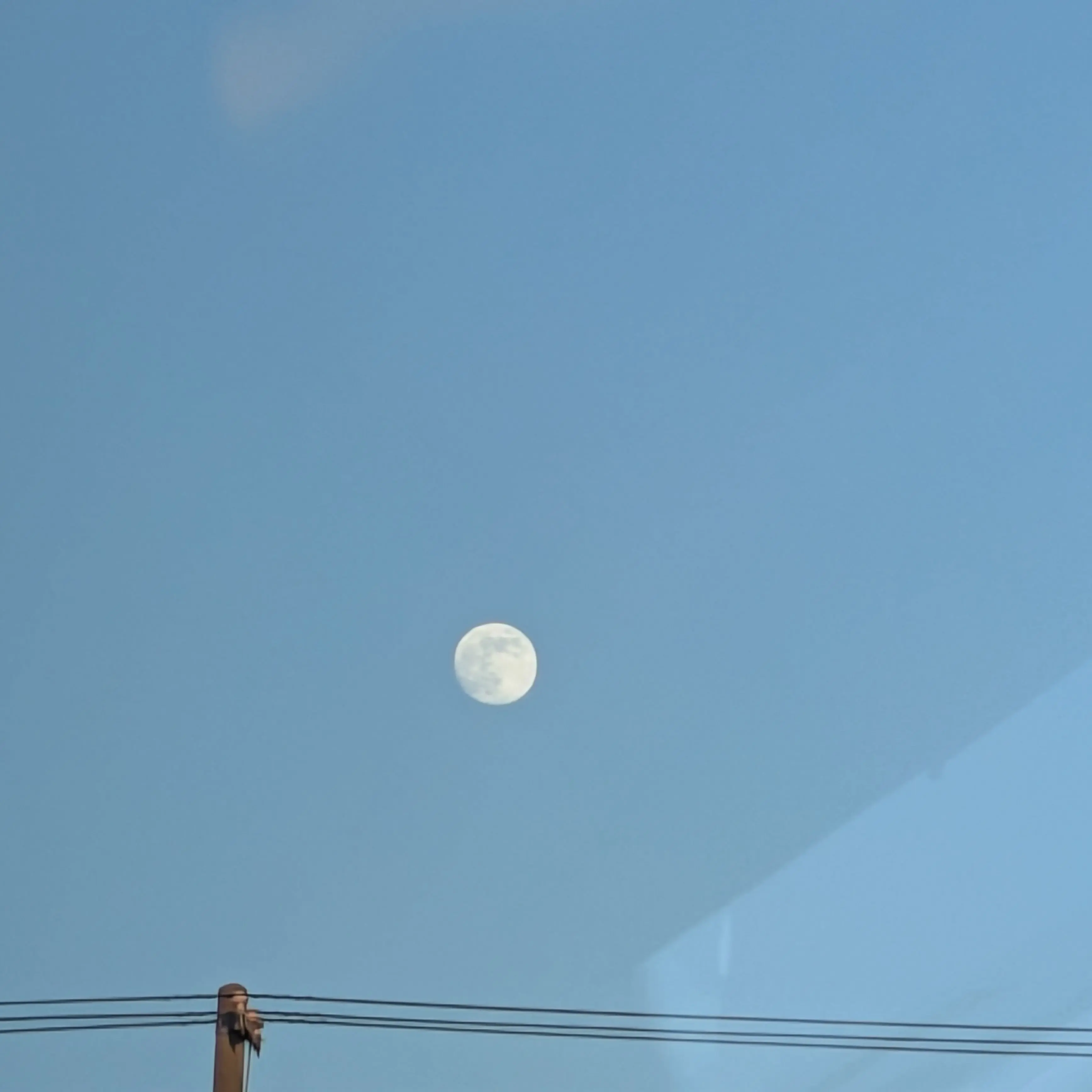 honeys0206의 監禁されちゃいました？！(自分用)