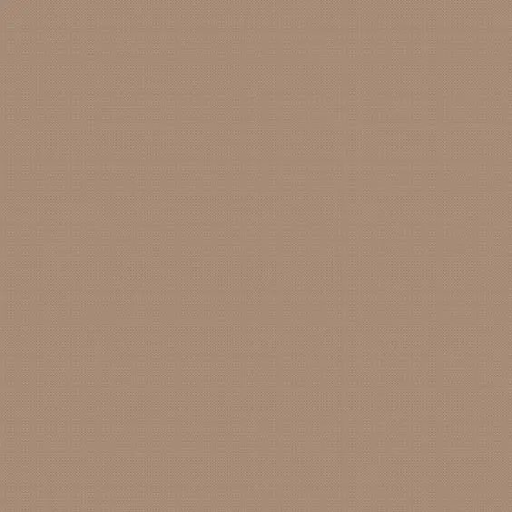 WindyPug2637의 拉致