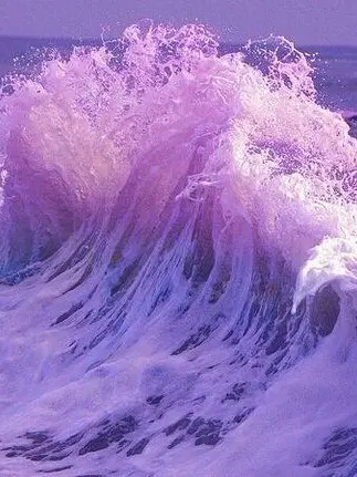 724ok의 팀나빠 하우스