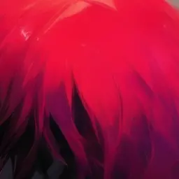 Profile image of せな