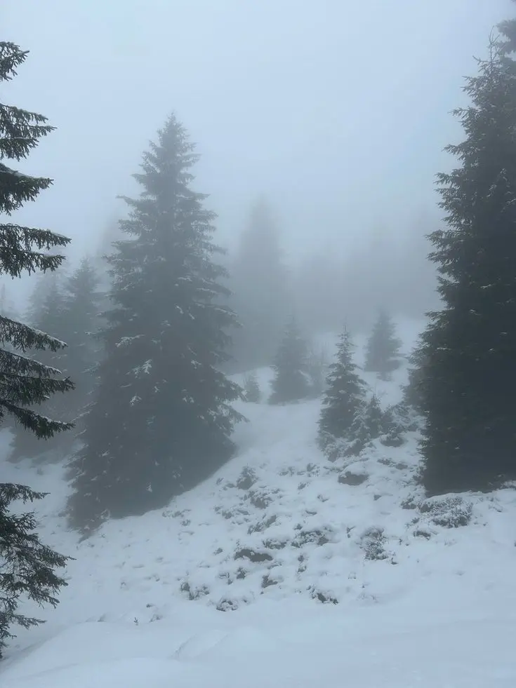 Wh1._.te의 다크초코 쿠키