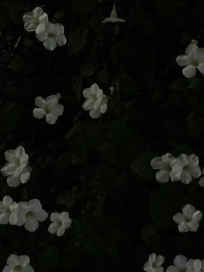 DJ0890의 인외x인간= ???