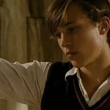 Profile image of Peter Pevensie