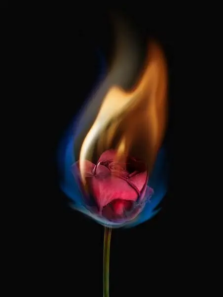 ChillyPotoo9826의 君となら、