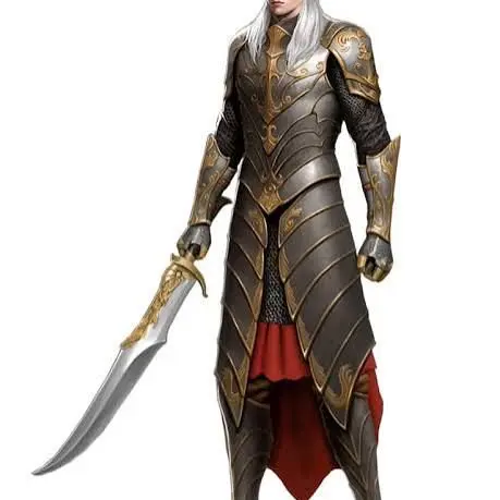 TartanKnob0458의 Dungeons and dragons RPG
