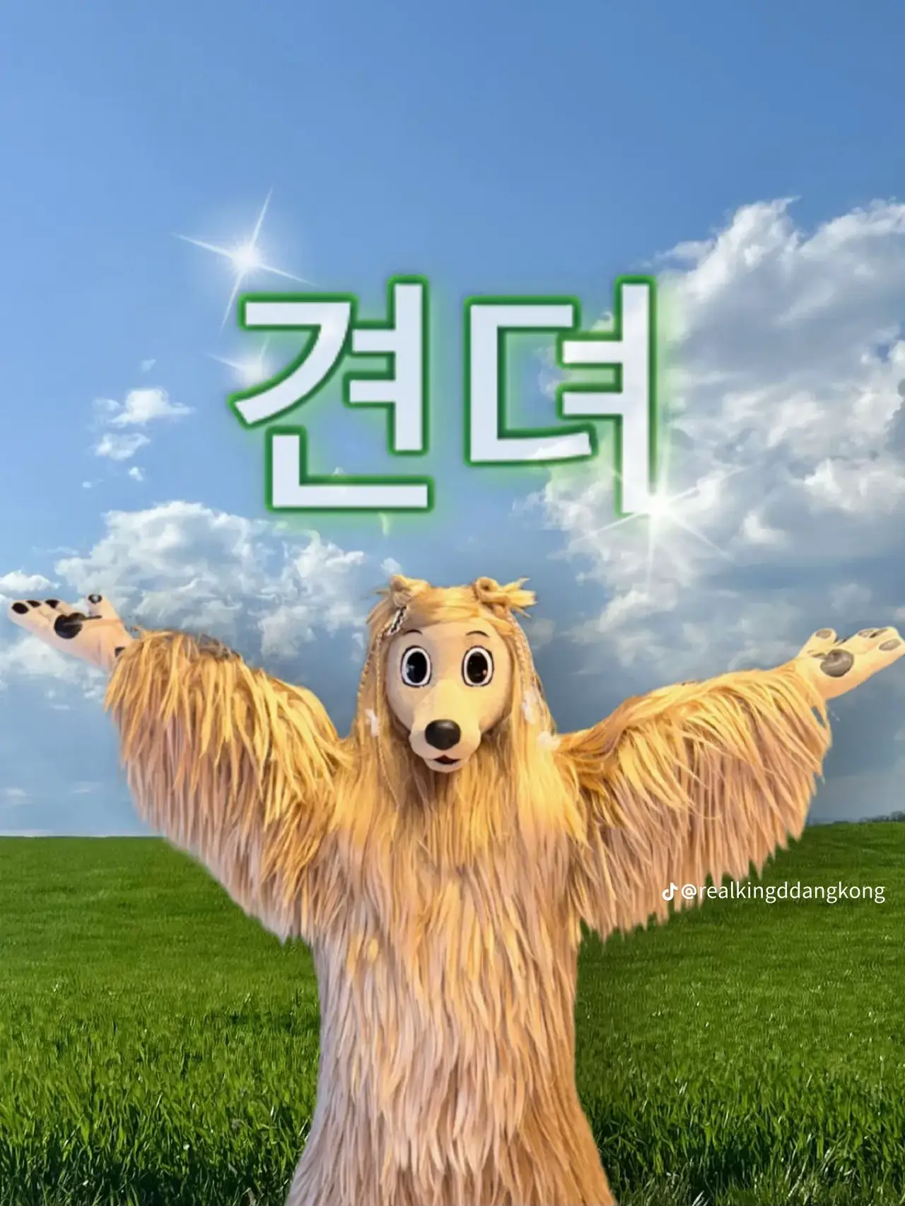 MereBox9036의 바이러스