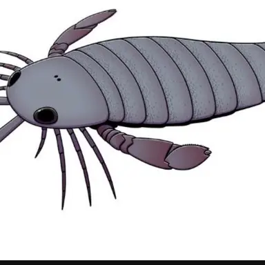Profile image of 고대