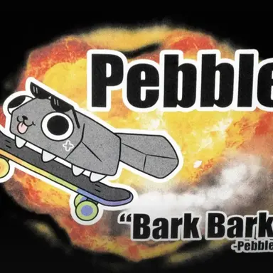 Profile image of Pebble