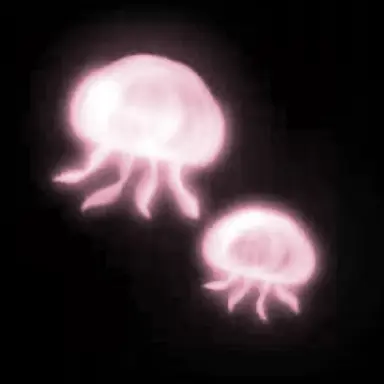 Profile image of イヴ