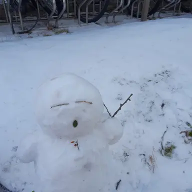 Profile image of 여우