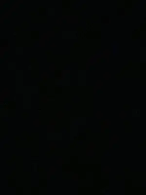 mammoni.의 SBR