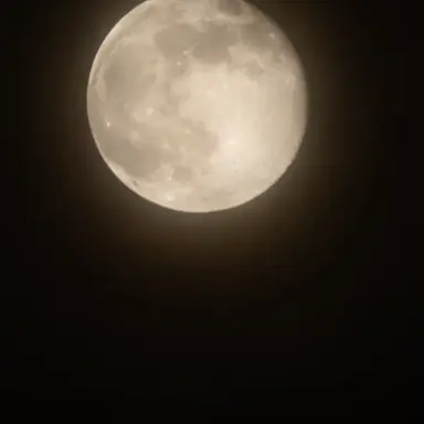 Profile image of 하루토