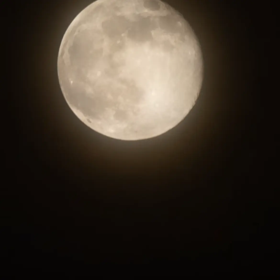 VitalHate9361의 하루토