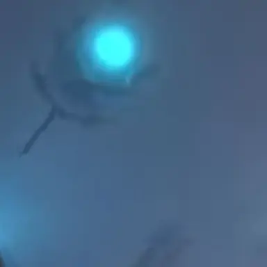 Profile image of オービタルカメラ