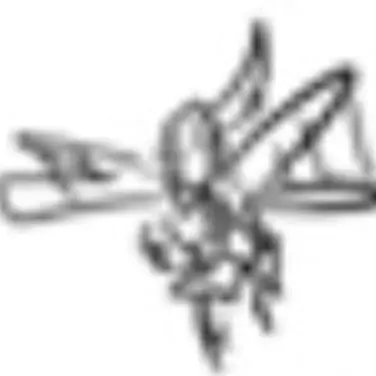 Profile image of ダンデとチップ