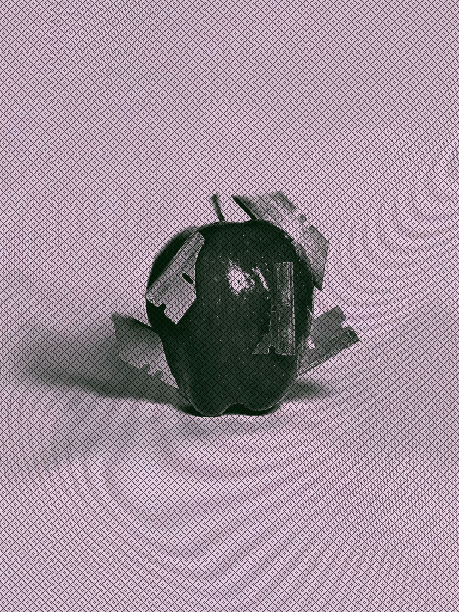 N 대표 이미지