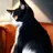 黒猫のクウ