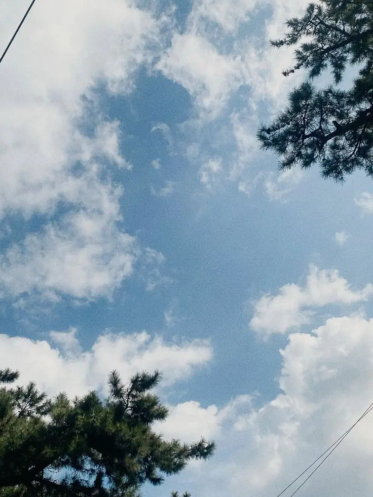 ming_ki의 유기사가 미쳐버렸따🤯