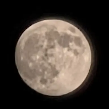 Profile image of 메이론 룸바르디