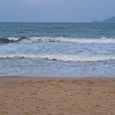 Profile image of 이연아