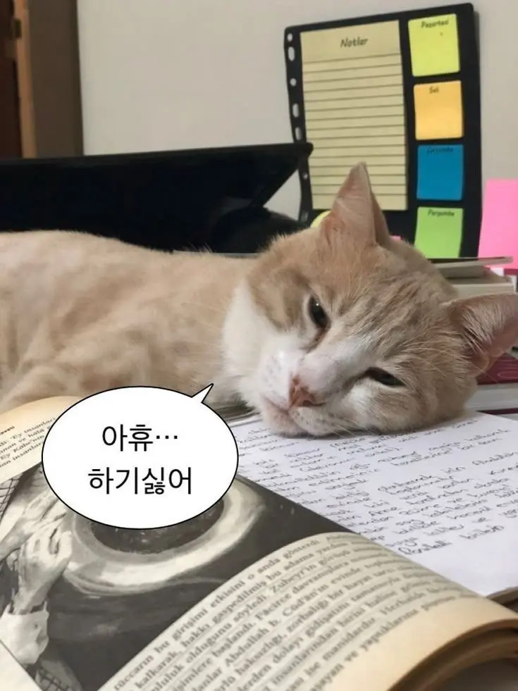 SleazyNylon9239의 宦官